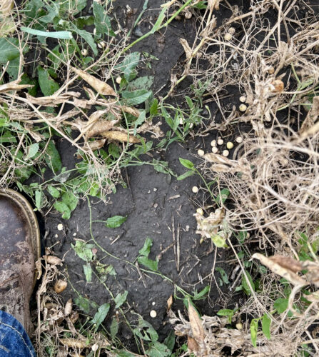 Storm leaves wind, hail damage to homes, crops across state